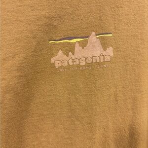 Patagonia Tan Mountain Tee